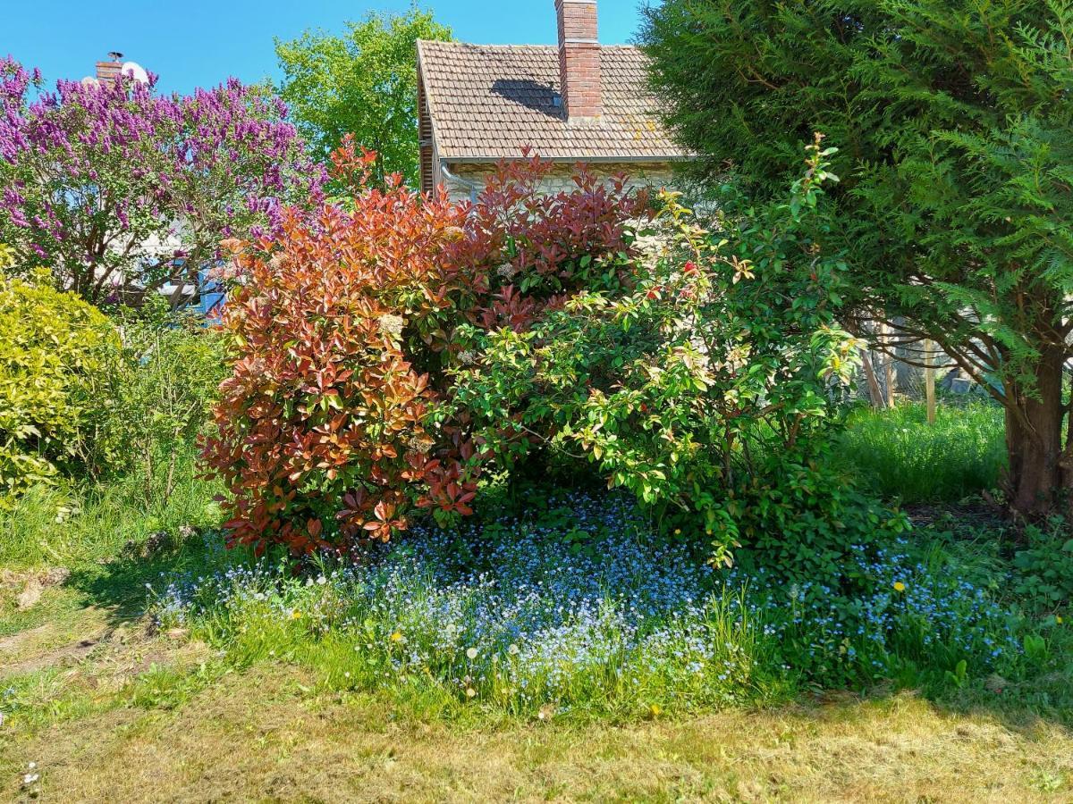 فيلا Chez Robins Trie-Château المظهر الخارجي الصورة